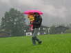 Flucht vor dem Sturm