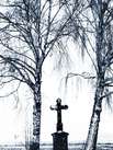 Gedenk-Kreuz mit Birken im November
