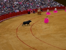 Arena