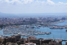 Palma