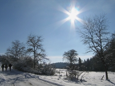 Ein Sonnentag im Januar