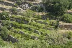 Terrassenlandschaft in der Serra de Tramuntana