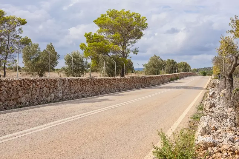 Mallorquinische Landstraße mit Natursteinmauer und Pinien
