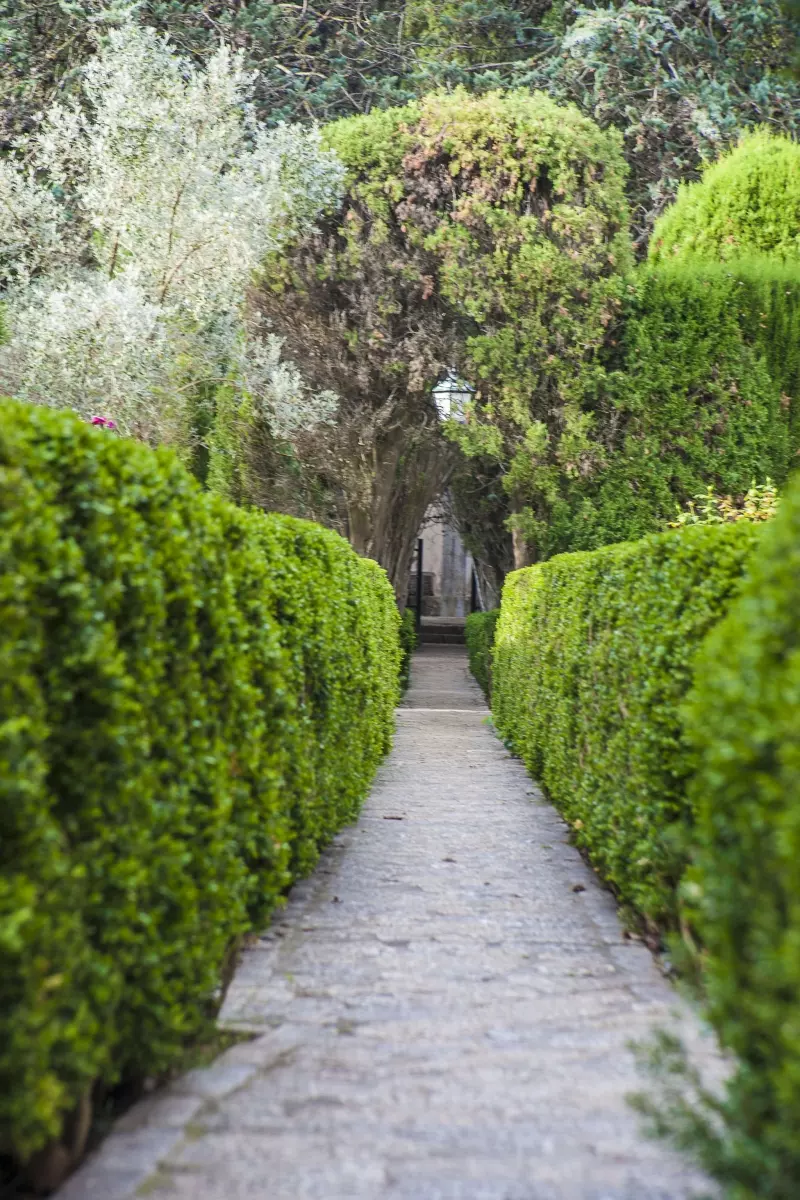 Gepflegter Weg durch den historischen Garten der Kartause von Valldemossa