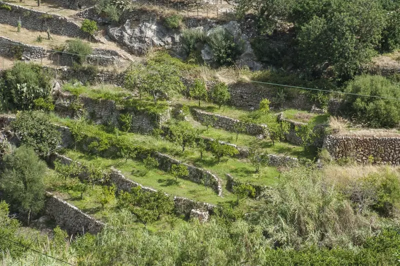 Terrassierte Landschaft mit Natursteinmauern