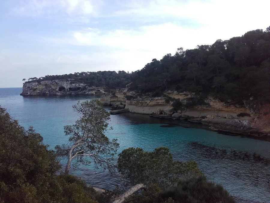 Vista de parte de la playa El Mago y de la cala de Portals Vells, en Calviá, Mallorca