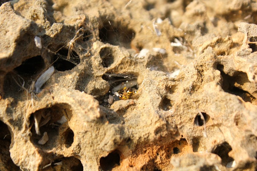 Detailansicht des Strands von Cala Blava mit felsigem Küstenbereich