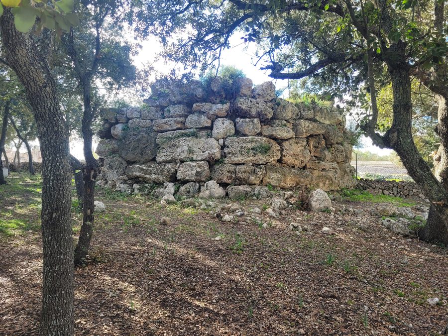 Talaiot d'Es Racons, eine kreisrunde talayotische Konstruktion bei Llubí auf Mallorca