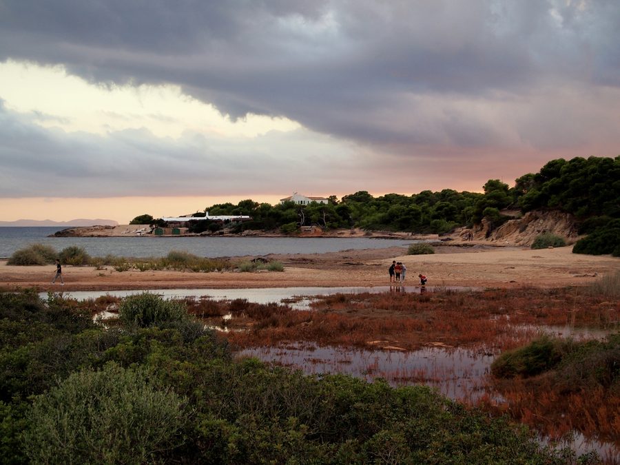 Estanyol de Garonda, prop de s'Estanyol de Migjorn, a la costa del municipi de Llucmajor, Mallorca