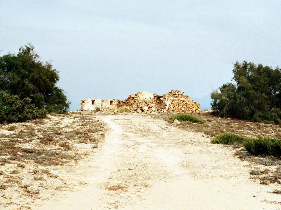 Punta Llarga de Son Real bei Santa Margalida auf Mallorca