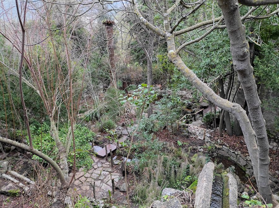 Teil des botanischen Gartens des Klosters von Lluc