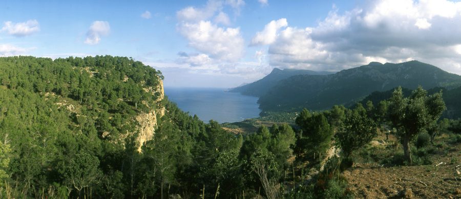 Panoramablick auf die Küste bei Estellencs auf Mallorca