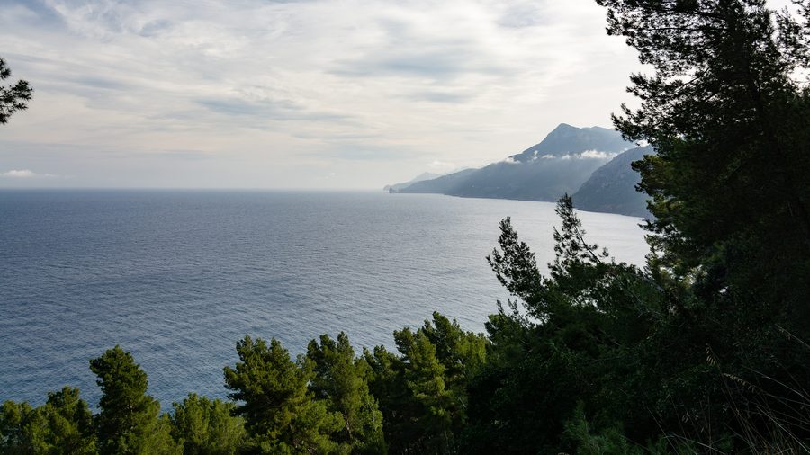 Blick vom Wanderweg zwischen Banyalbufar und Port des Canonge auf die mallorquinische Küstenlandschaft