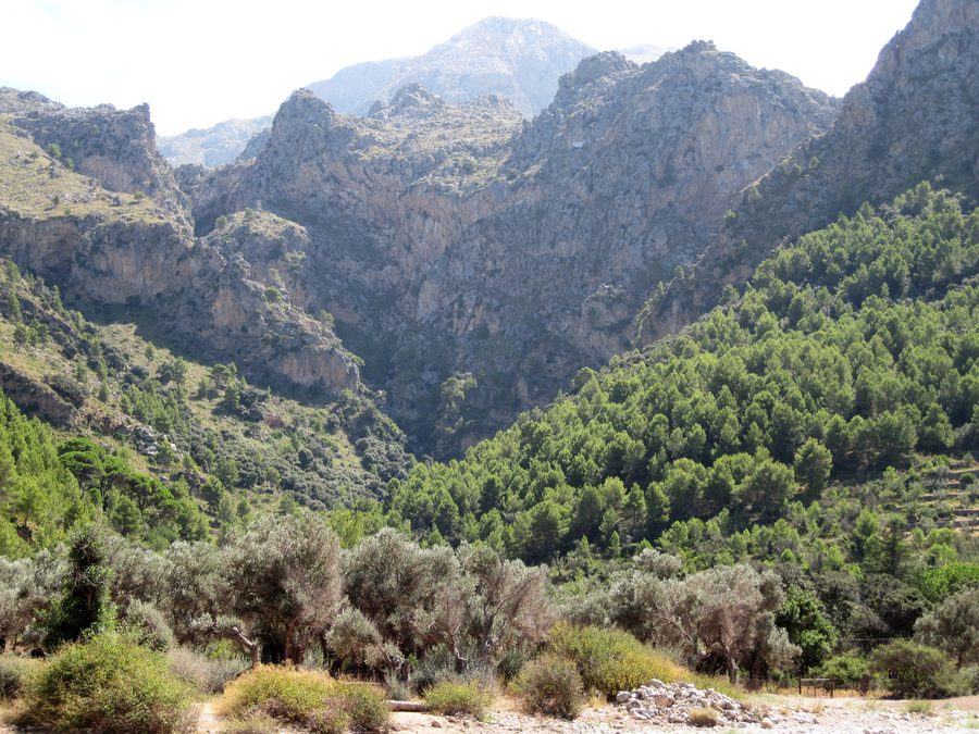 Blick von der Cala Tuent Richtung Puig Major auf Mallorca