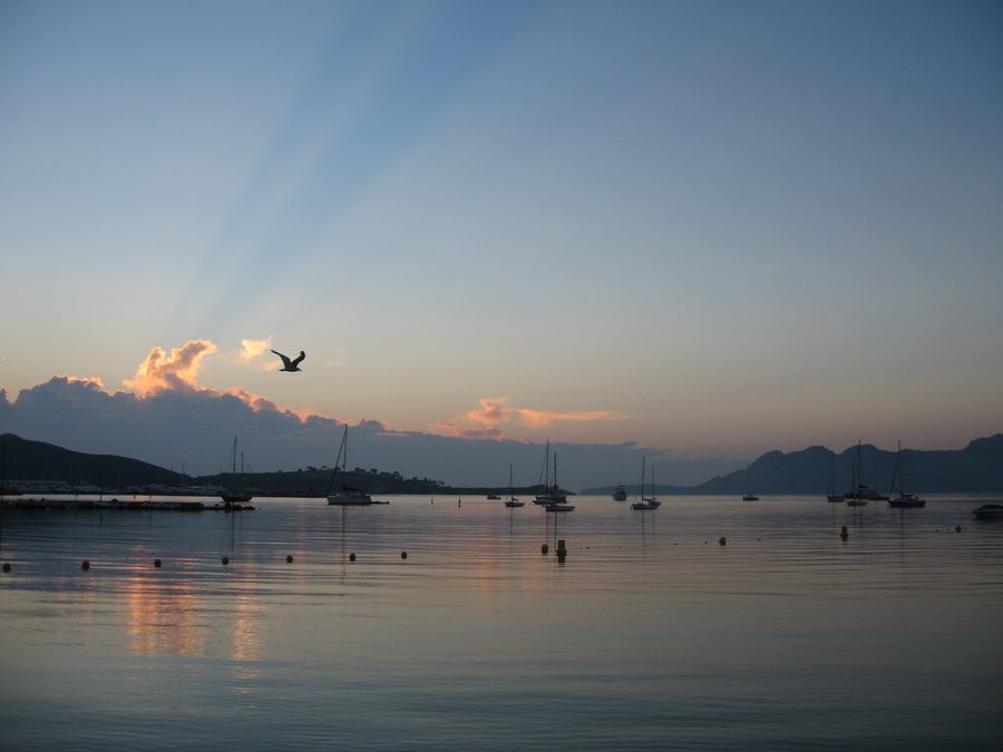 Sonnenaufgang über der Bucht von Port de Pollença auf Mallorca