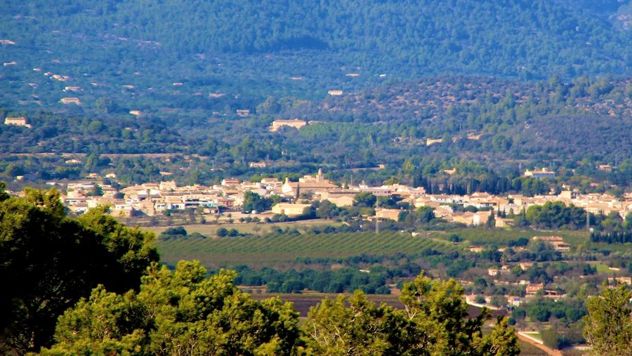 Blick auf Consell auf Mallorca vom Puig de Son Seguí aus