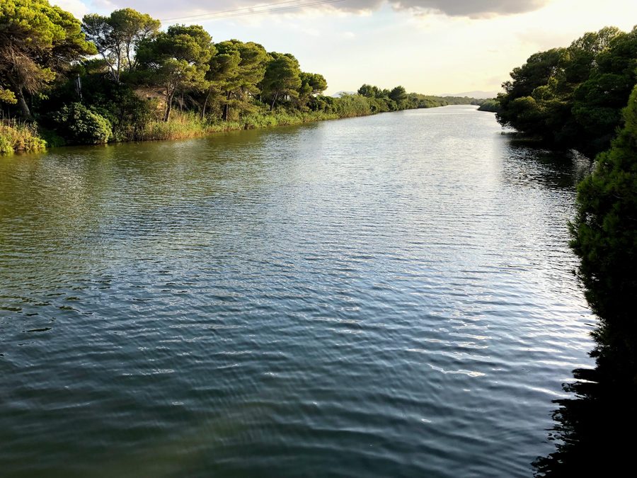 Hauptkanal im Naturpark s'Albufera de Mallorca auf Mallorca