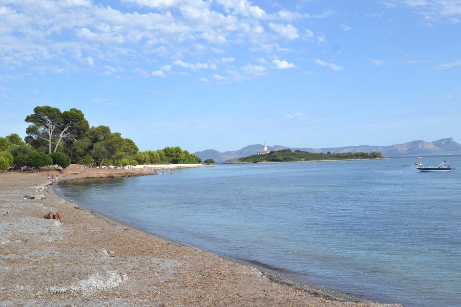 Strandlandschaft der Platja Alcanada bei Alcúdia auf Mallorca