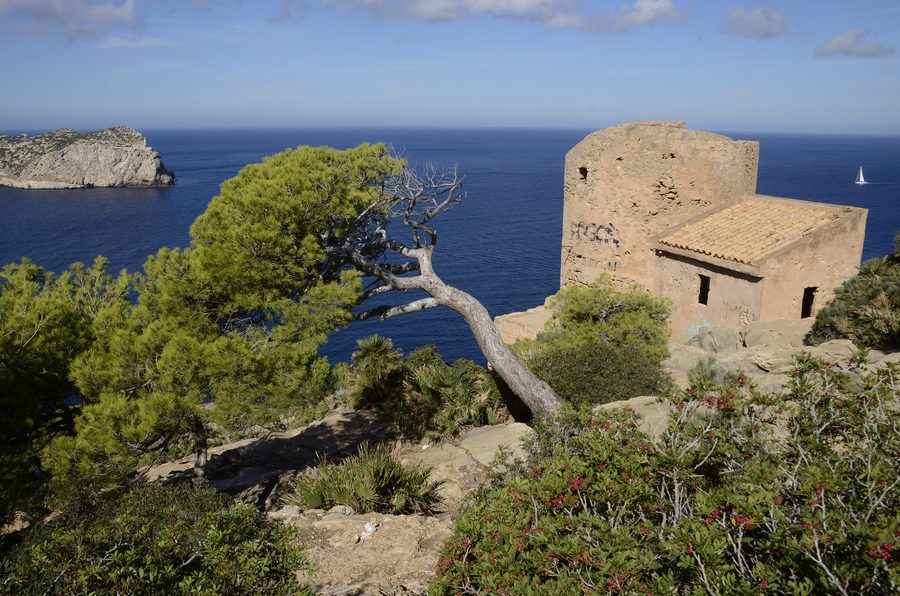 Torre de Cala en Basset in Sant Elm auf Mallorca