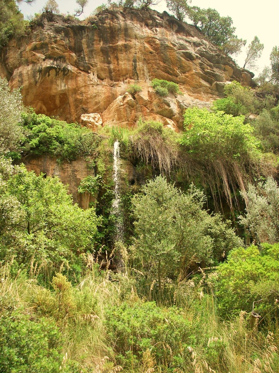 Naturpark bei Puigpunyent auf Mallorca mit bewaldeter Berglandschaft