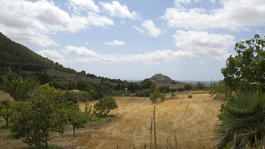 Ländliche Landschaft rund um Algaida auf Mallorca