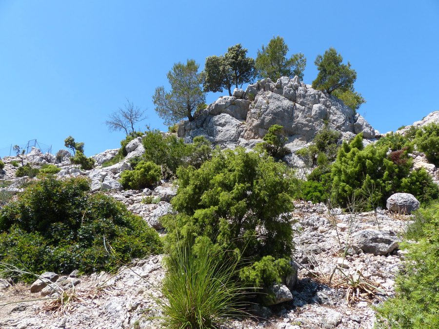 Landschaft bei Bunyola mit dem Penyal d’Honor auf Mallorca