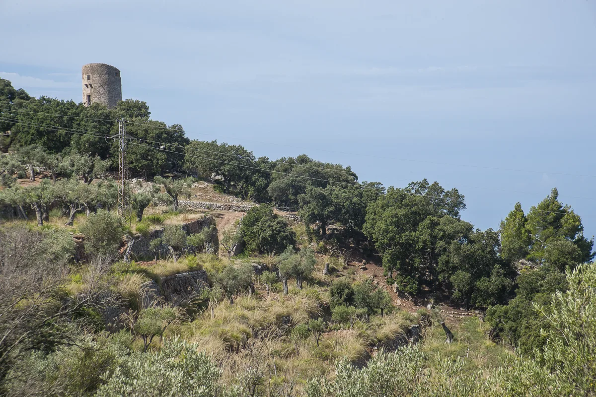 Küstenlandschaft im Südwesten Mallorcas